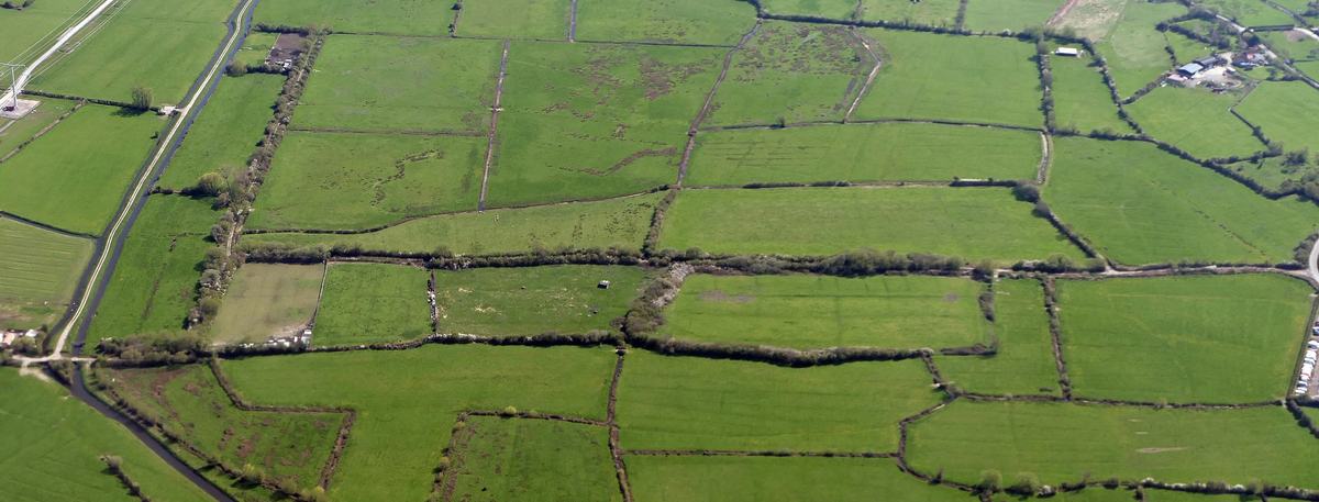 Aerial view of a patchwork of green fields divided by hedgerows and drainage ditches on Puxton Moor, North Somerset Levels